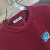 6931a0afccd8ab3d7af94896 Loewe Embroidered Short Sleeve T-Shirt (Premium Quality, Distinct from Standard Version)