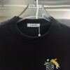 6931a0d7ccd8ab3d7af94bca Loewe Embroidered Short Sleeve T-Shirt (Top-tier Quality, Distinguished from Standard Version)