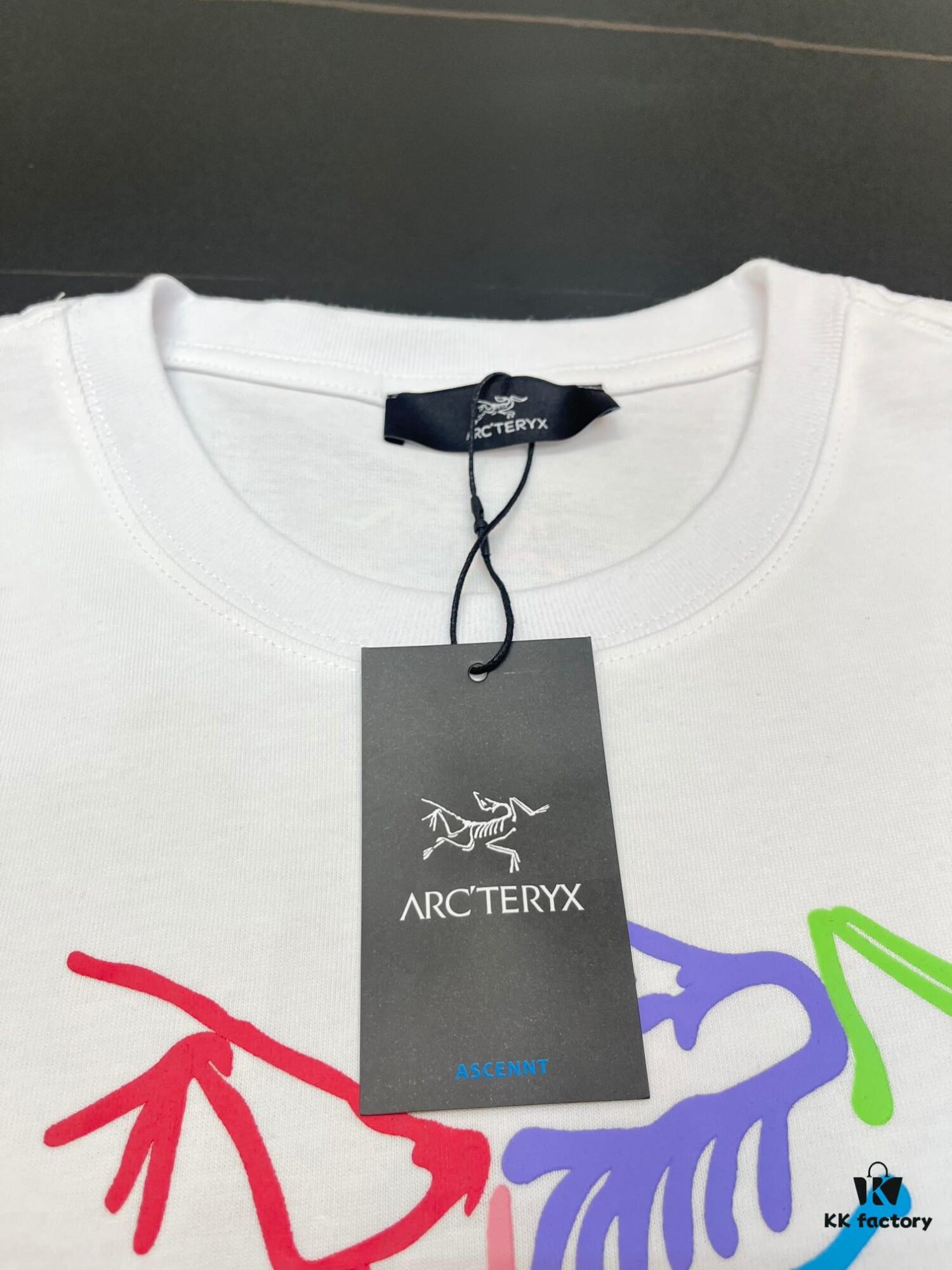 6931a155ccd8ab3d7af95494 ARC'TERYX Rainbow Logo Crew Neck Printed Short Sleeve T-Shirt