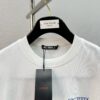 6931a156ccd8ab3d7af954a2 Arc'teryx High-Quality SS25 Screen-Printed T-Shirt, Classic Colorway, Premium 280g Cotton, Bear Series Design