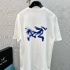 6931a156ccd8ab3d7af954a4 Arc'teryx High-Quality SS25 Screen-Printed T-Shirt, Classic Colorway, Premium 280g Cotton, Bear Series Design