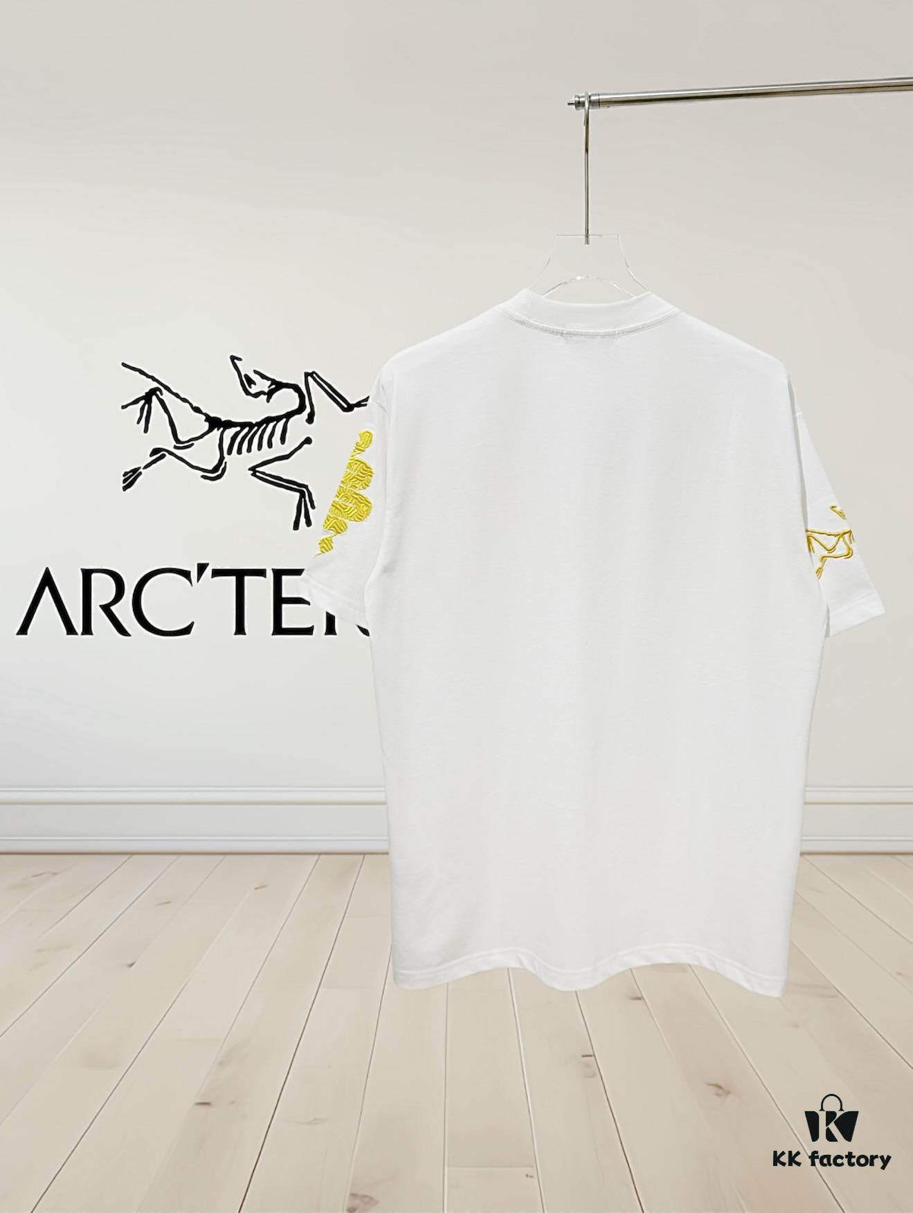 6931a157ccd8ab3d7af954b4 Arc'teryx Aha SV L Year of the Snake Limited Edition T-Shirt