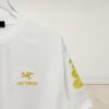 6931a157ccd8ab3d7af954b6 Arc'teryx Aha SV L Year of the Snake Limited Edition T-Shirt