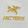 6931a157ccd8ab3d7af954b7 Arc'teryx Aha SV L Year of the Snake Limited Edition T-Shirt
