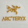 6931a157ccd8ab3d7af954bf Arc'teryx 【Premium Version】 Aha SV L Year of the Snake Limited Edition T-Shirt