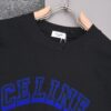 6931a1acccd8ab3d7af95b68 New Arrival 25S Celine Flocked Letter T-Shirt, Pre-washed Cotton Fabric, Soft and Skin-friendly, Unisex Loose Fit