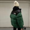 6931a2d2ccd8ab3d7af96f1d The North Face 1996 Down Jacket