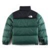 6931a2d2ccd8ab3d7af96f21 The North Face 1996 Retro Fleece Jacket
