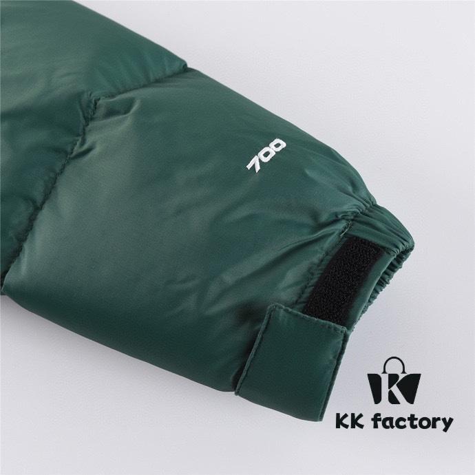6931a2d2ccd8ab3d7af96f24 The North Face 1996 Retro Fleece Jacket