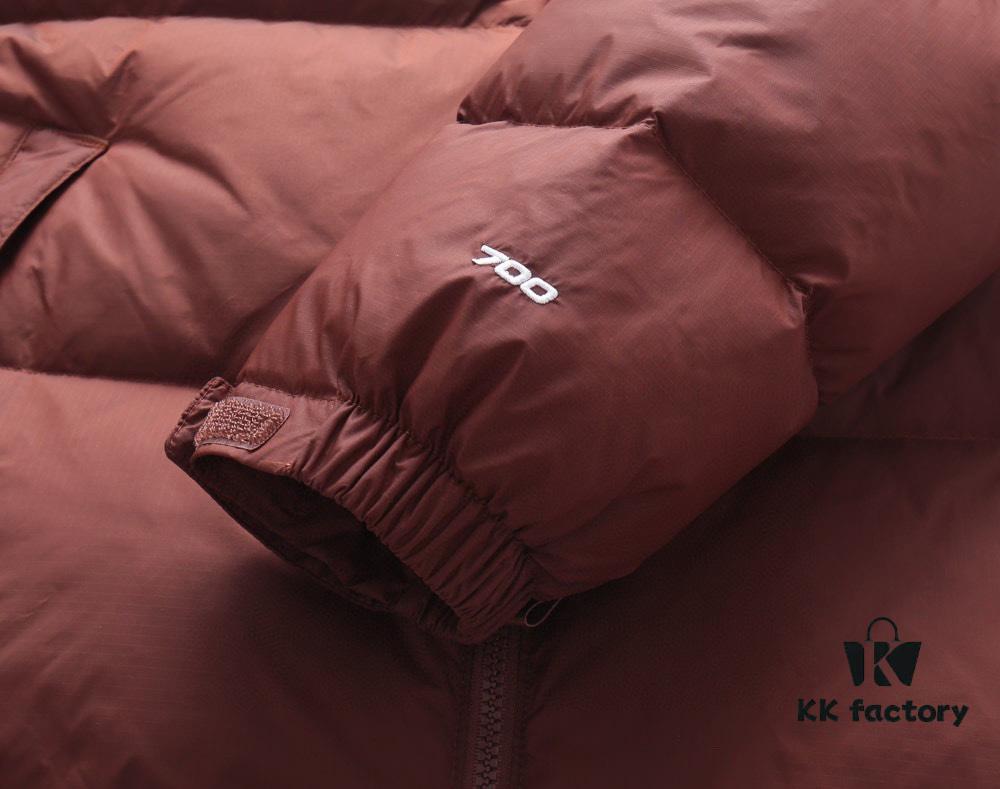 6931a2d5ccd8ab3d7af96f69 The North Face 1996 Retro Fleece Jacket in Mocha