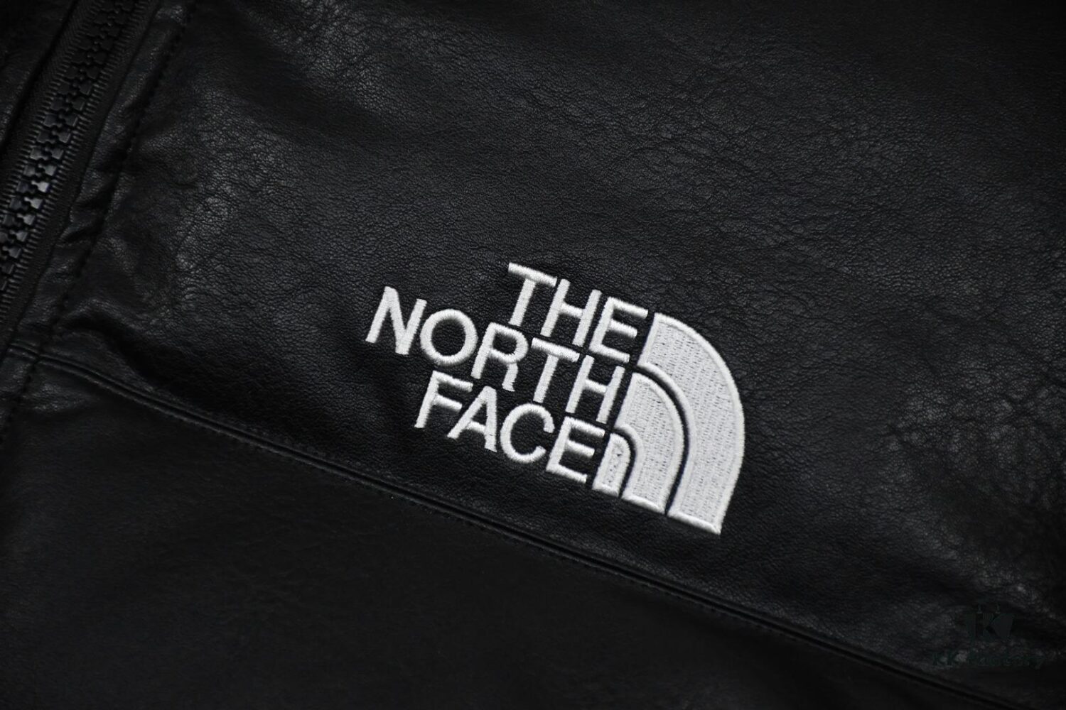 Supreme x The North Face 17FW Leather Nuptse Jacket - Premium Down Jacket with Genuine Leather
