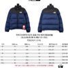 MX26 Top Version Exclusive High-Quality THE NORTH FACE 1996 Retro US-Version Down Jacket