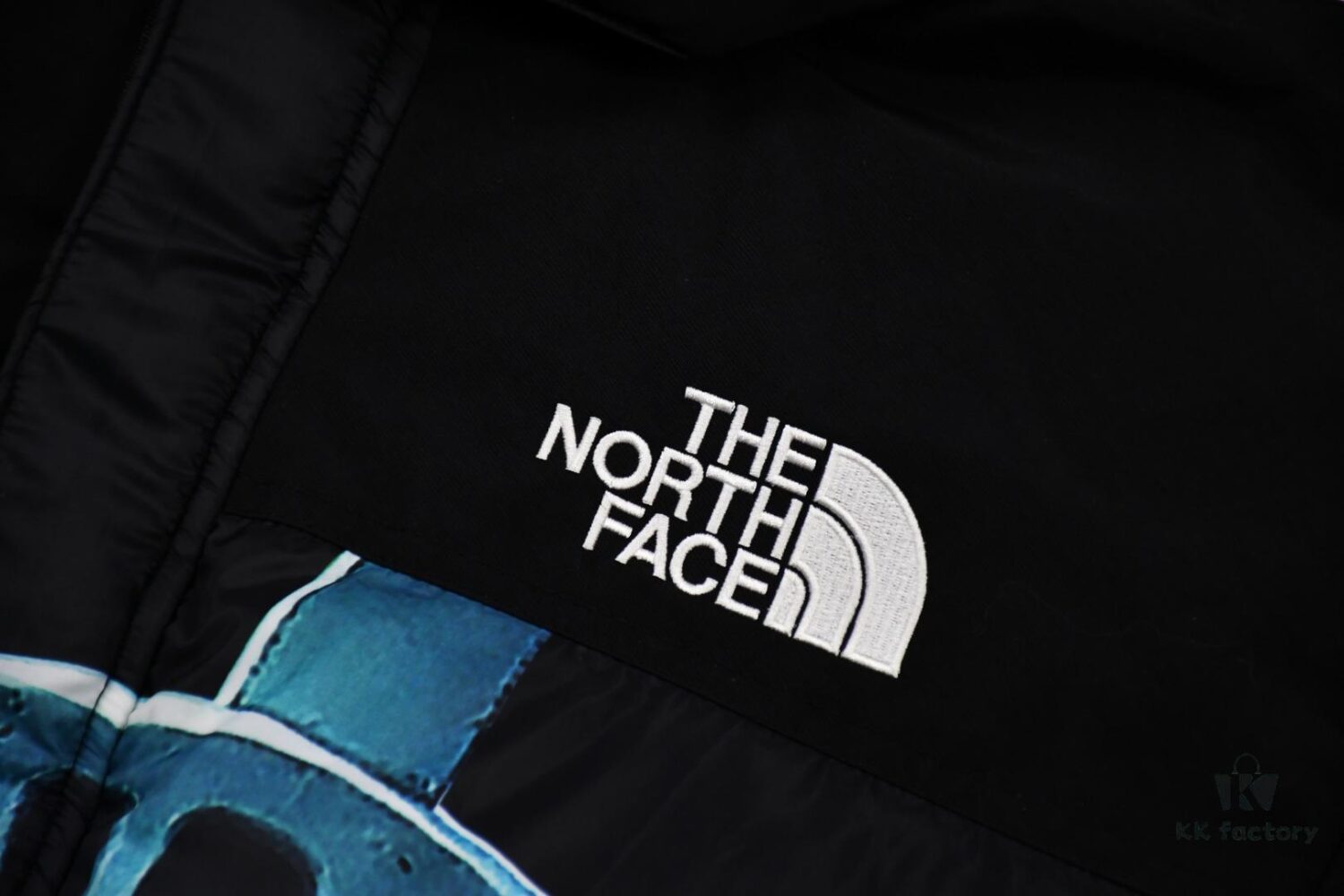 6931a2e6ccd8ab3d7af970af Supreme 19FW Week 10 x The North Face Goddess of Liberty Down Jacket