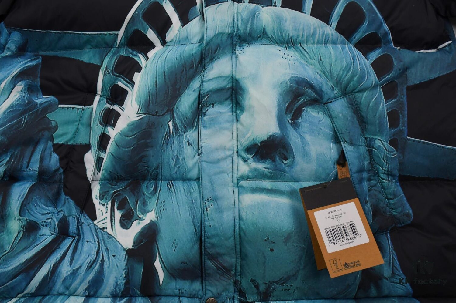 6931a2e6ccd8ab3d7af970b0 Supreme 19FW Week 10 x The North Face Goddess of Liberty Down Jacket