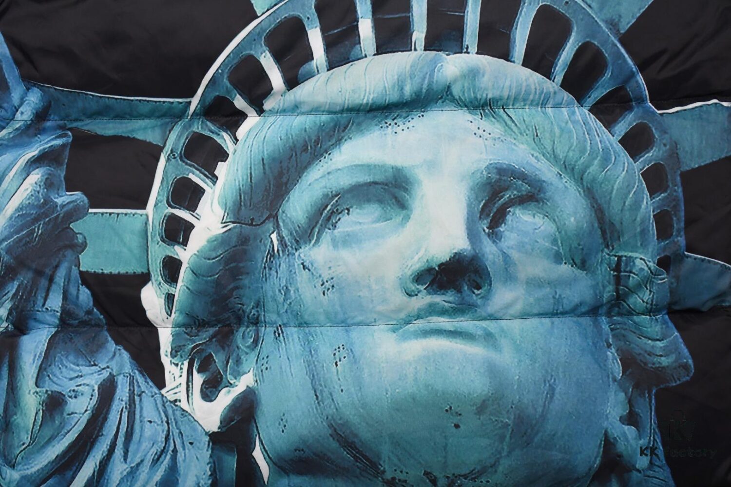 6931a2e7ccd8ab3d7af970b2 Supreme 19FW Week 10 x The North Face Goddess of Liberty Down Jacket
