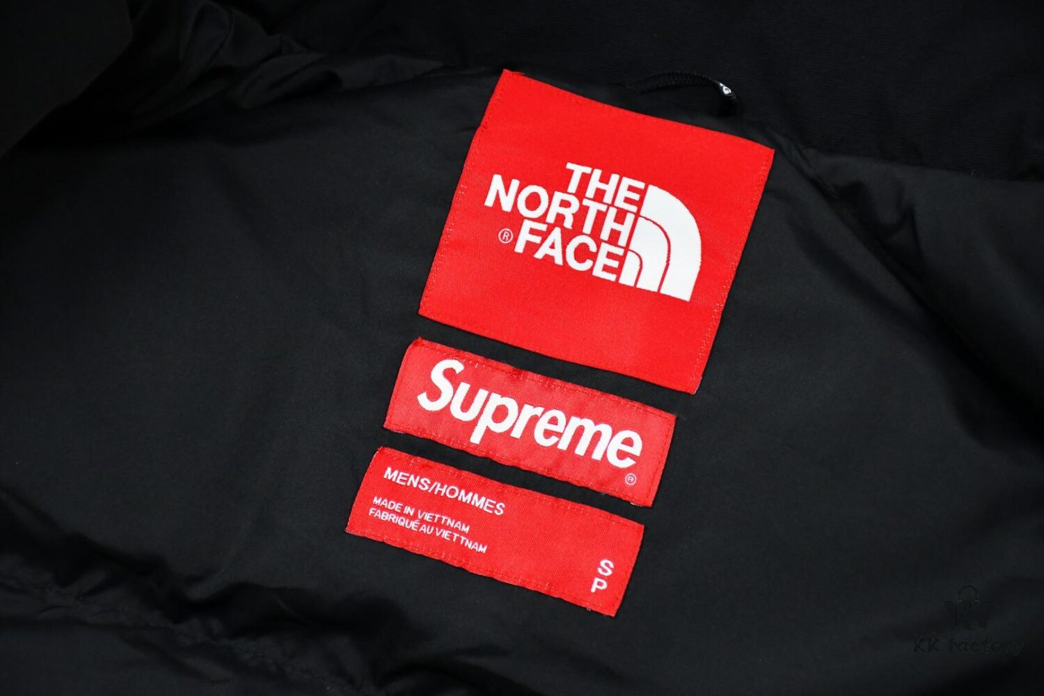 6931a2e7ccd8ab3d7af970b3 Supreme 19FW Week 10 x The North Face Goddess of Liberty Down Jacket