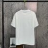 2025 Spring Summer New Arrival Short Sleeve T-Shirt, Heavyweight Pure Cotton with Special Embroidered Letters