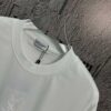 2025 Spring and Summer New Arrival Short Sleeve T-Shirt, Heavyweight Pure Cotton with Special Embroidery and 3D Print
