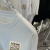 6931a42eccd8ab3d7af98728 Stone Island 2025 Spring New Arrival Short Sleeve T-Shirt with Hand-Customized Logo on Chest