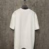 6931a53cccd8ab3d7af998b8 Alexander Wang 24SS Classic Logo Distressed Heavyweight T-Shirt with Thick Plate Print