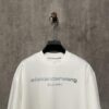6931a53cccd8ab3d7af998b9 Alexander Wang 24SS Classic Logo Distressed Heavyweight T-Shirt with Thick Plate Print
