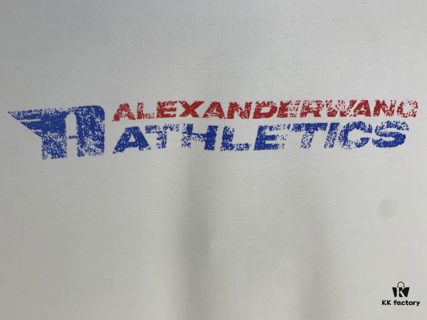 6931a545ccd8ab3d7af9994c Alexander 2025 Distressed Logo Women's T-Shirt