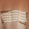 6931a546ccd8ab3d7af9995f Alexarde*wang 25SS Early Spring New Arrival 3D Wa Jiao Gradient Print Short Sleeve T-Shirt