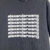 6931a561ccd8ab3d7af99b0e Alexander Wang 3D Logo Letter Graphic Sandblasted Print Short Sleeve T-Shirt