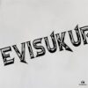 6931a5e6ccd8ab3d7af9a3f1 Evisu 2025 New Year God Printed T-Shirt High Version Premium Quality 300g Double-Yarn Pure Cotton Fabric Unisex Loose Fit