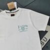 6931a5e8ccd8ab3d7af9a41f Evisu 2025 New Year God Printed T-Shirt High-Quality Version Pure Cotton Double-Yarn 300g Fabric Unisex Loose Fit
