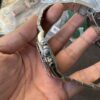 VS 4801 Movement Panda Dial Rolex Daytona, Ultra High Cost Performance