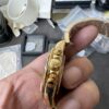 QF Gold Dior, Rear Gold Plated