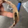 Clean Chinese Mitten Crab Danfoss 3285 Movement