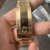 Clean Chinese Mitten Crab Danfoss 3285 Movement