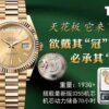 6931a671ccd8ab3d7af9ad65 THB New Rolex DD Ceiling Model