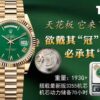 6931a671ccd8ab3d7af9ad66 THB New Rolex DD Ceiling Model