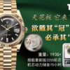 6931a671ccd8ab3d7af9ad67 THB New Rolex DD Ceiling Model