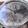 ZF Innovation Masterpiece: 'Sophisticated Gray, Understated Elegance'