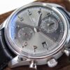 ZF Innovation Masterpiece: 'Sophisticated Gray, Understated Elegance'