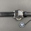 ZF Panerai 1359