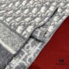 6931a8eaccd8ab3d7af9d503 Dior Gray Winter Super Hard-to-Find Classic Cashmere Scarf