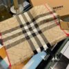 6931a96cccd8ab3d7af9dcfc Versatile and Stylish Metallic Logo Plaid Scarf from Bu – New Arrival