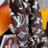 LV Official Website Same Style Double-Sided Cashmere Scarf in Gray