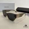 Dior Women's Sunglasses, Highly Textured, High-Definition Lenses, Novel Design, Premium Quality, Versatile and Minimalist