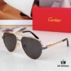 Cartier CT0425S Sunglasses