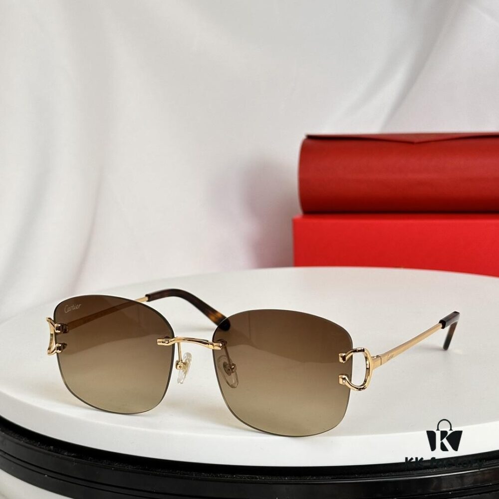6931acb6ccd8ab3d7afa1057 Authentic Cartier Model CT0032RS 52-19-145 Sunglasses