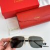 Cartier CT0388 Sunglasses