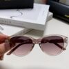 6931ad99ccd8ab3d7afa1d58 BALENCIAGA Balenciaga Latest Unique Frame Design Instantly Loved Minimalist Small Frame High-Quality Eyewear Sunglasses
