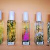 6931f6173a89a121ed547a21 Jo Malone London 2019 Limited Edition Hackney Florals Collection - 30ml Eau de Toilette Set of 5: Willow & Amber, Lupin & Patchouli, Cade & Cedar, Hemlock & Bergamot, Nettle & Wild Yarrow