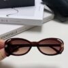 6931f8393a89a121ed549863 CHANEL Chanel Eyeglass Frame Inspired by Wang Yibo, Cat-Eye Style, Five Colors Available for Sunglasses